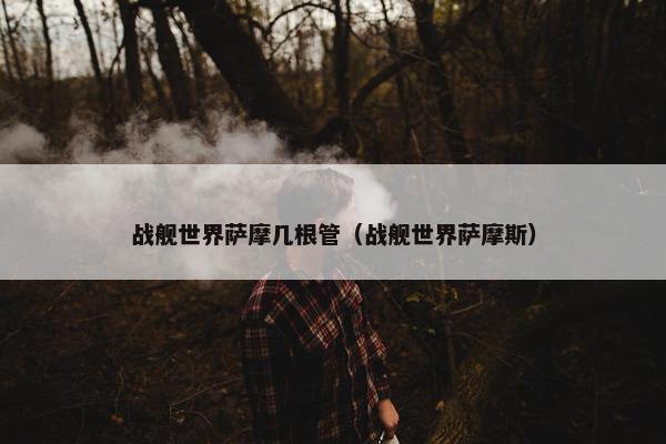 战舰世界萨摩几根管（战舰世界萨摩斯）