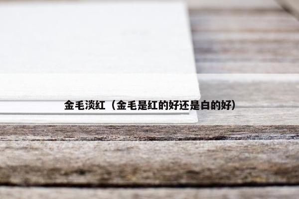 金毛淡红（金毛是红的好还是白的好）