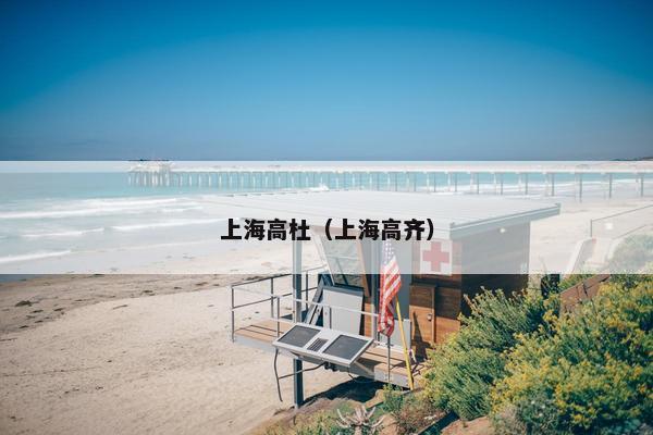 上海高杜（上海高齐）