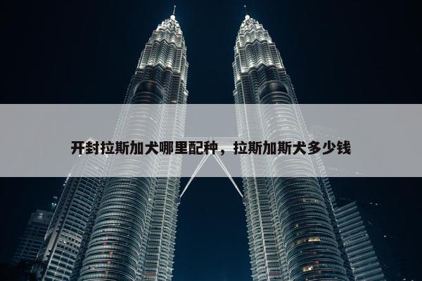 开封拉斯加犬哪里配种，拉斯加斯犬多少钱