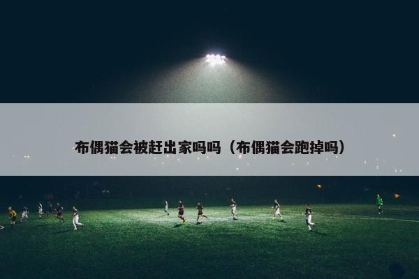 布偶猫会被赶出家吗吗（布偶猫会跑掉吗）