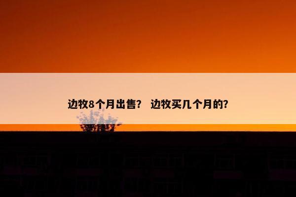 边牧8个月出售？ 边牧买几个月的？