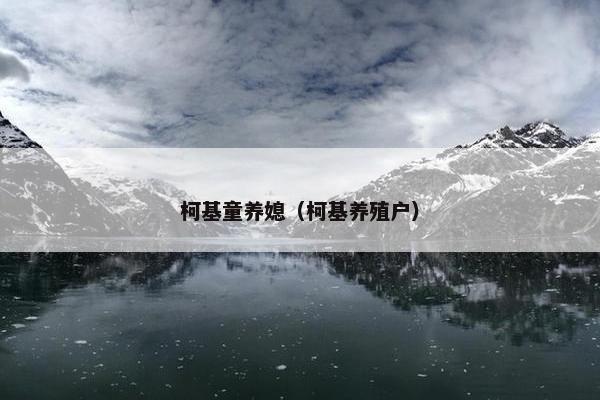 柯基童养媳（柯基养殖户）