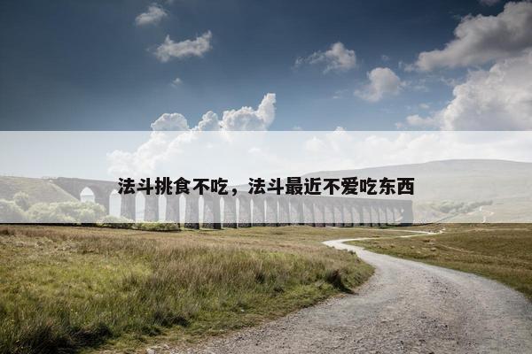 法斗挑食不吃，法斗最近不爱吃东西