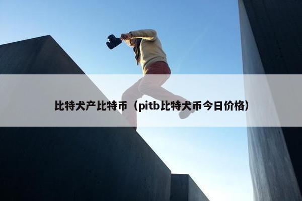 比特犬产比特币（pitb比特犬币今日价格）