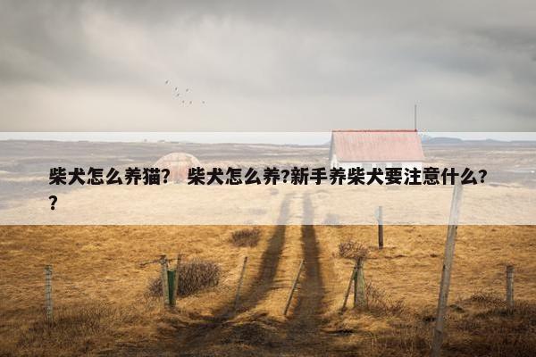 柴犬怎么养猫？ 柴犬怎么养?新手养柴犬要注意什么?？