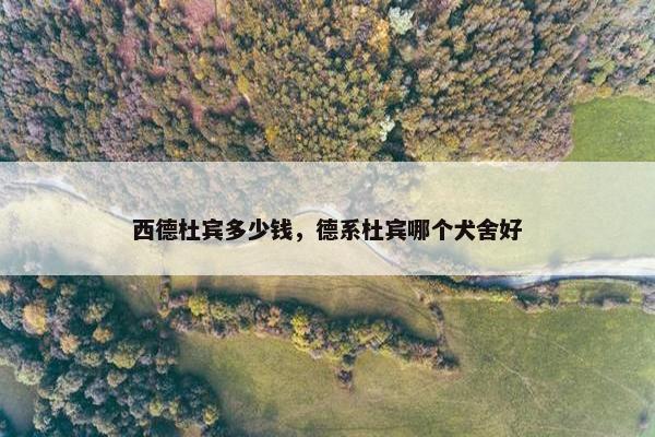 西德杜宾多少钱，德系杜宾哪个犬舍好