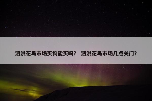 泗洪花鸟市场买狗能买吗？ 泗洪花鸟市场几点关门？