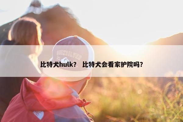 比特犬hulk？ 比特犬会看家护院吗？