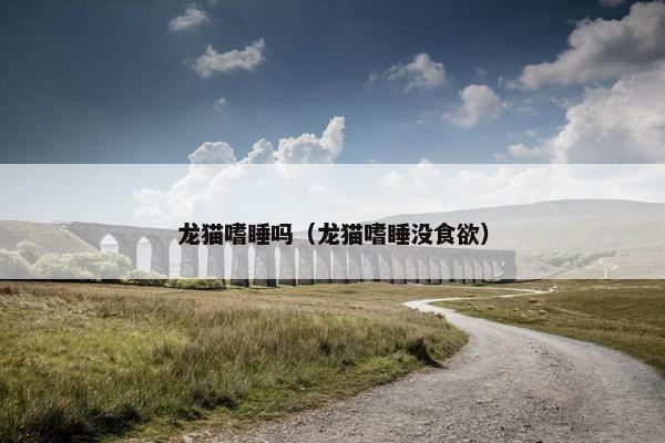龙猫嗜睡吗（龙猫嗜睡没食欲）