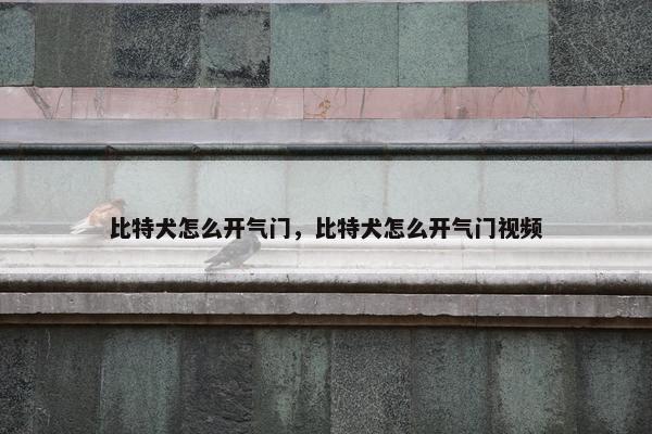 比特犬怎么开气门，比特犬怎么开气门视频