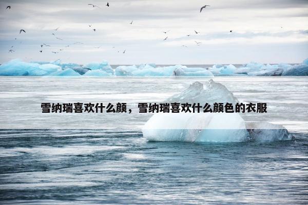 雪纳瑞喜欢什么颜，雪纳瑞喜欢什么颜色的衣服