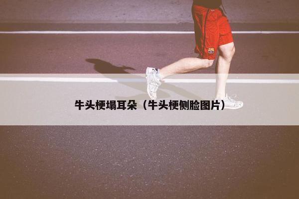 牛头梗塌耳朵（牛头梗侧脸图片）