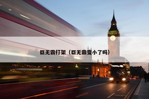 巨无霸打架（巨无霸变小了吗）