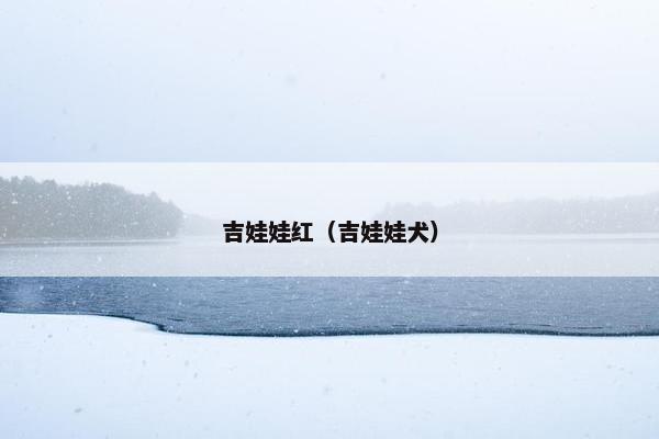 吉娃娃红（吉娃娃犬）