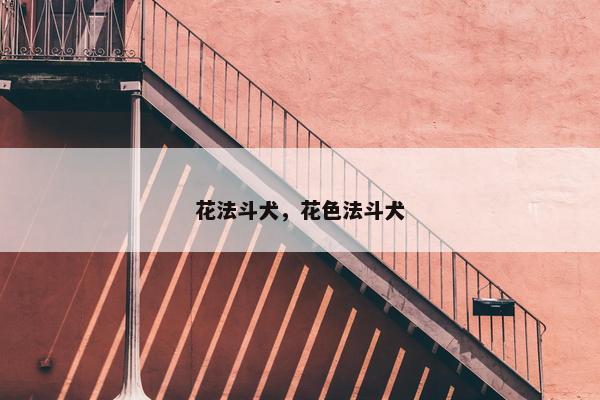 花法斗犬，花色法斗犬