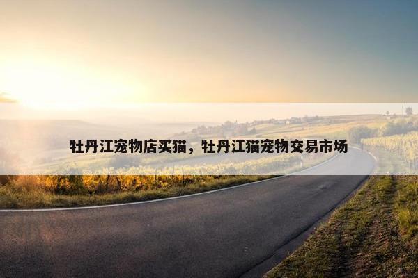 牡丹江宠物店买猫，牡丹江猫宠物交易市场