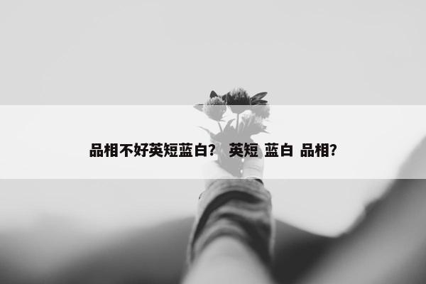 品相不好英短蓝白？ 英短 蓝白 品相？