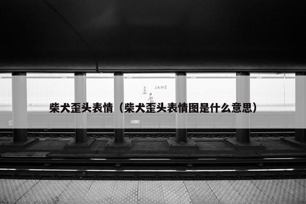 柴犬歪头表情（柴犬歪头表情图是什么意思）