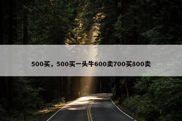 500买，500买一头牛600卖700买800卖