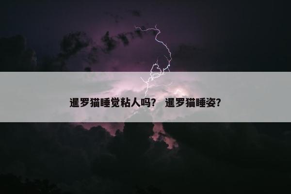 暹罗猫睡觉粘人吗？ 暹罗猫睡姿？