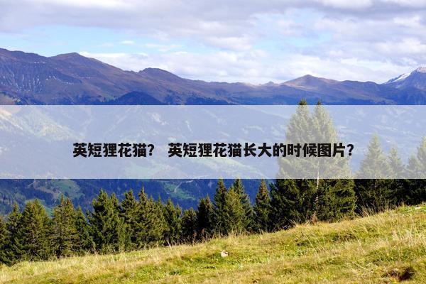 英短狸花猫？ 英短狸花猫长大的时候图片？