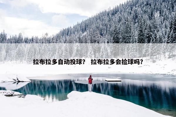 拉布拉多自动投球？ 拉布拉多会捡球吗？