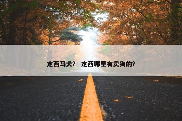 定西马犬？ 定西哪里有卖狗的？