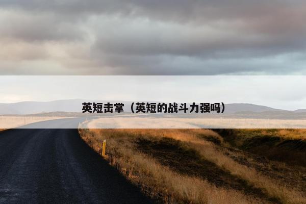 英短击掌（英短的战斗力强吗）