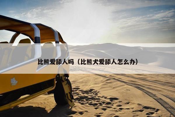 比熊爱舔人吗（比熊犬爱舔人怎么办）