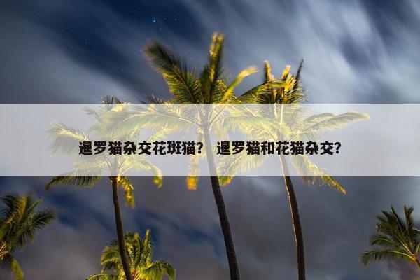 暹罗猫杂交花斑猫？ 暹罗猫和花猫杂交？