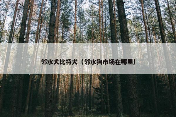 邻水犬比特犬（邻水狗市场在哪里）