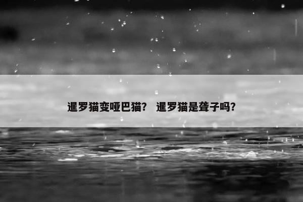 暹罗猫变哑巴猫？ 暹罗猫是聋子吗？