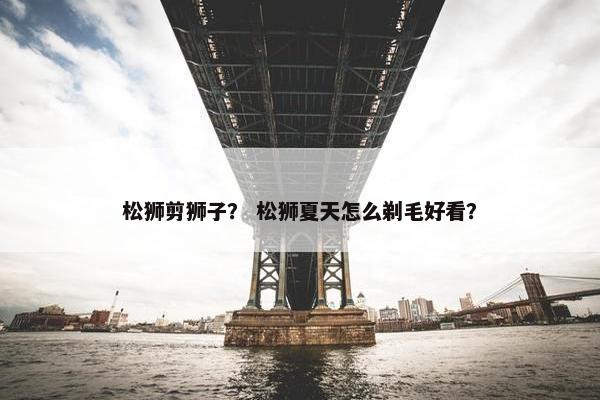 松狮剪狮子？ 松狮夏天怎么剃毛好看？