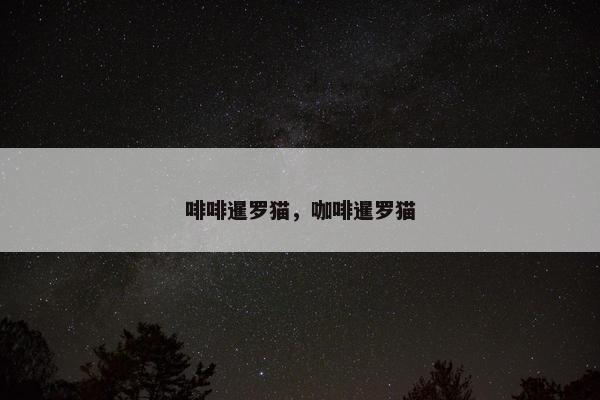 啡啡暹罗猫，咖啡暹罗猫