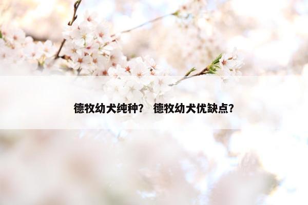 德牧幼犬纯种？ 德牧幼犬优缺点？