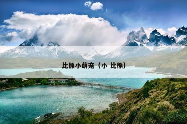 比熊小萌宠（小 比熊）