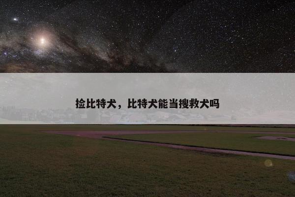 捡比特犬，比特犬能当搜救犬吗