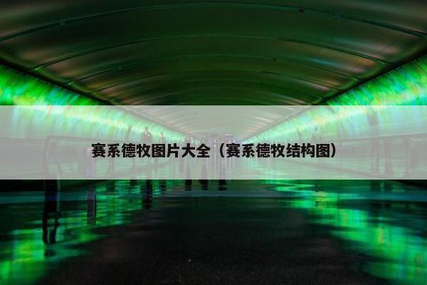 赛系德牧图片大全（赛系德牧结构图）