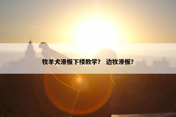 牧羊犬滑板下楼教学？ 边牧滑板？