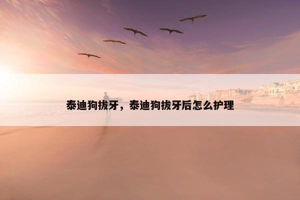 泰迪狗拔牙，泰迪狗拔牙后怎么护理