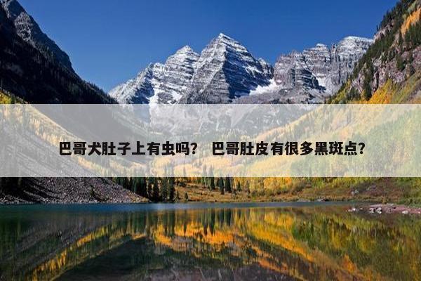 巴哥犬肚子上有虫吗? 巴哥肚皮有很多黑斑点? 巴哥犬肚子上有虫吗? 巴哥肚皮有很多黑斑点?