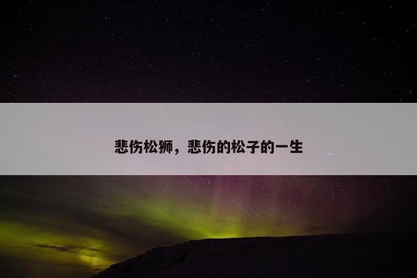 悲伤松狮，悲伤的松子的一生