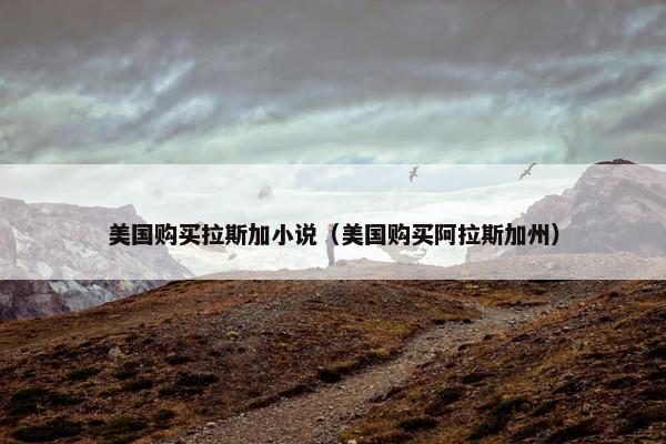 美国购买拉斯加小说（美国购买阿拉斯加州）