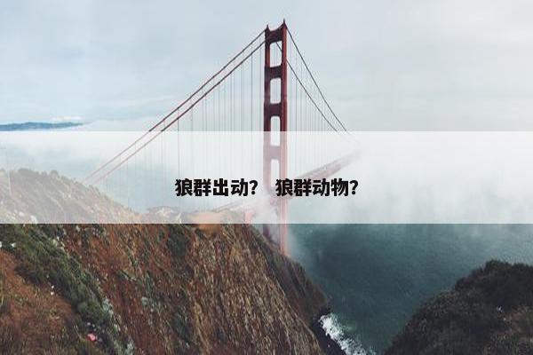 狼群出动? 狼群动物? 狼群出动? 狼群动物?