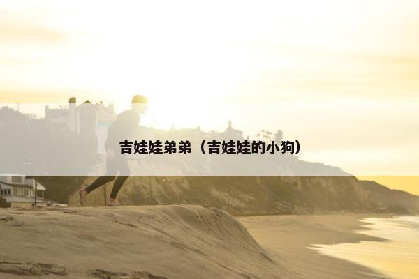吉娃娃弟弟（吉娃娃的小狗）