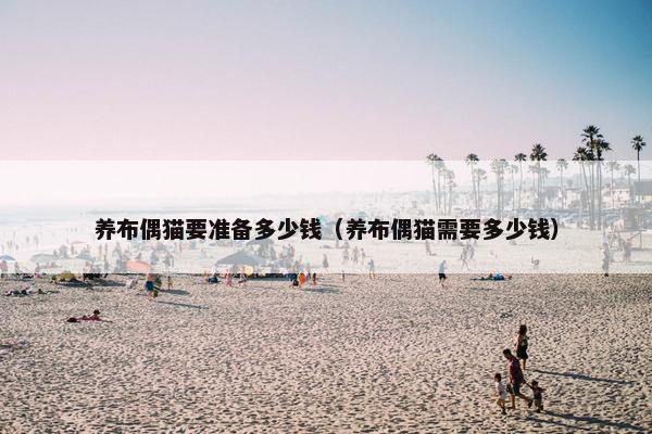 养布偶猫要准备多少钱（养布偶猫需要多少钱）