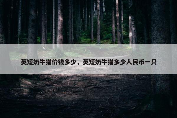 英短奶牛猫价钱多少，英短奶牛猫多少人民币一只