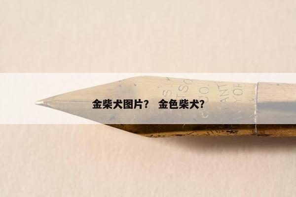 金柴犬图片？ 金色柴犬？