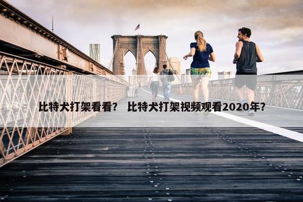 比特犬打架看看？ 比特犬打架视频观看2020年？